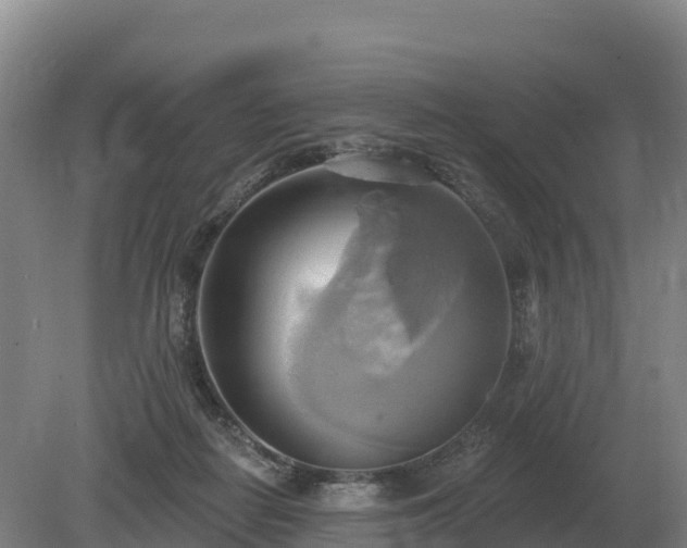 X0000081300266200701181843