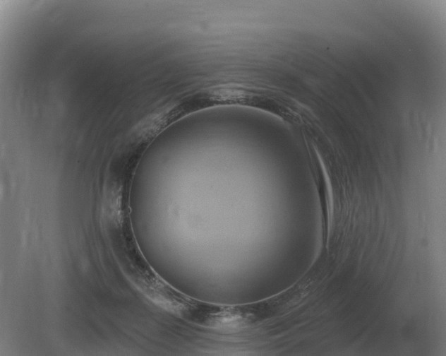 X0000081300267200701181843