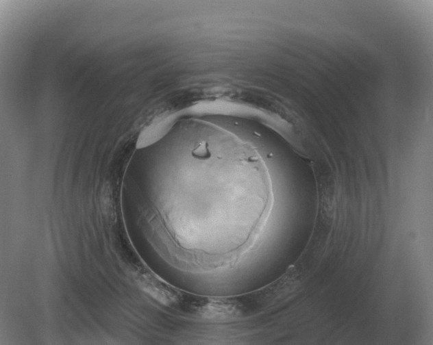 X0000081300270200701181843