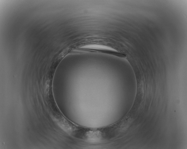 X0000081300271200701181843