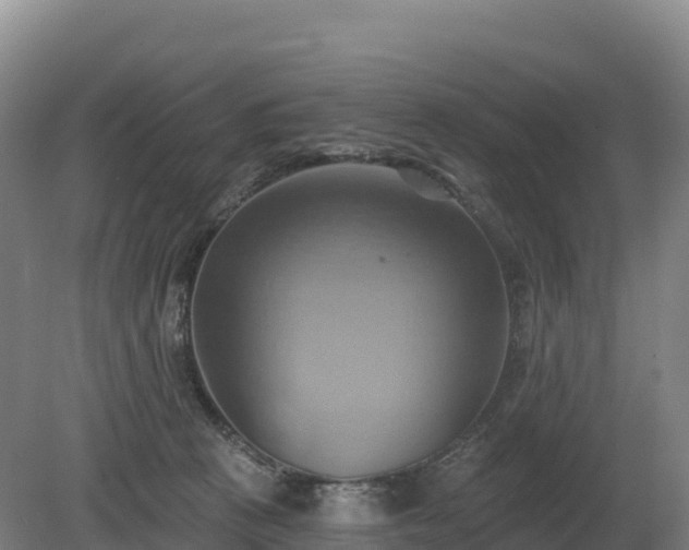 X0000081300273200701181843