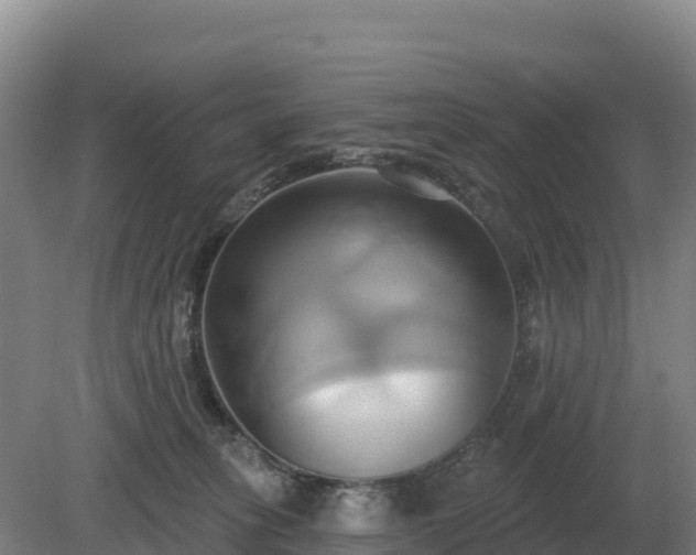 X0000081300275200701181843