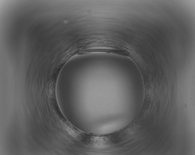 X0000081300277200701181843