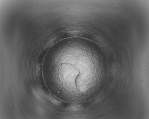 X0000081300278200701181843