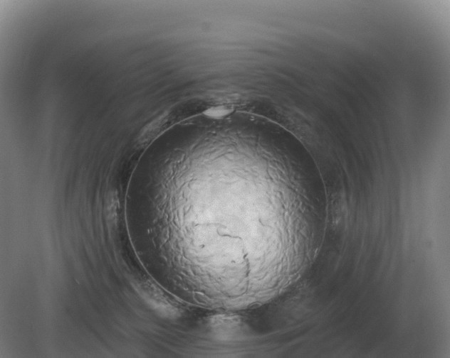 X0000081300279200701181843