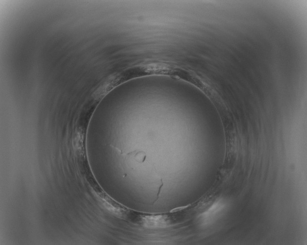 X0000081300281200701181843