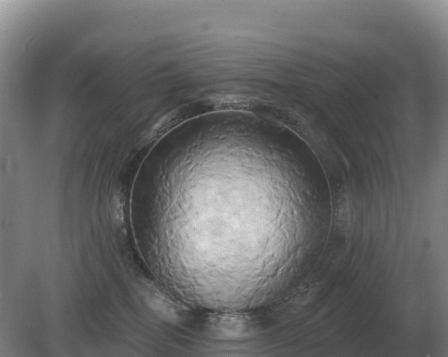 X0000081300282200701181843