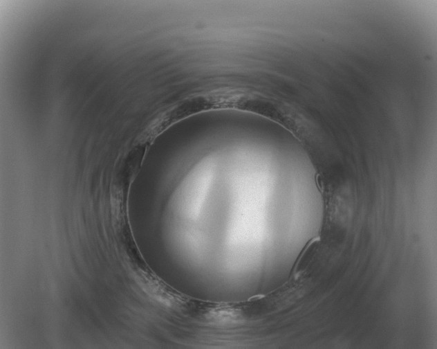 X0000081300283200701181843