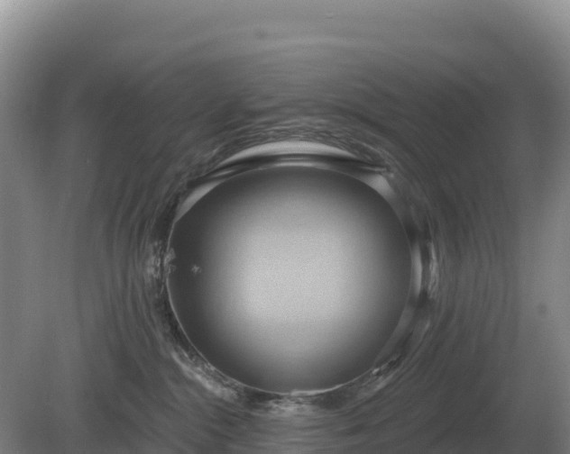 X0000081300284200701181843