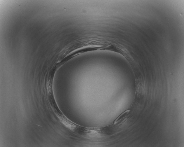 X0000081300285200701181843