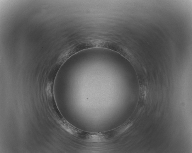 X0000081300286200701181843