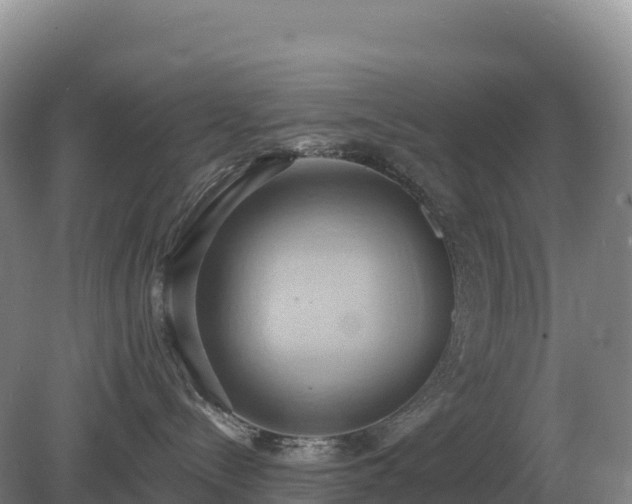 X0000081300288200701181843