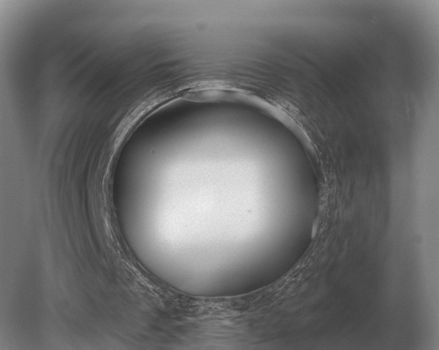 X0000081300289200701181842