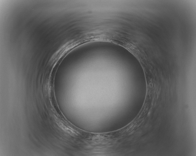 X0000081300290200701181842