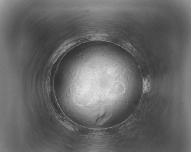 X0000081300291200701181842