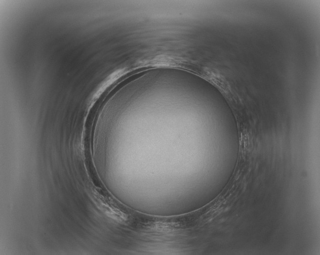 X0000081300292200701181842