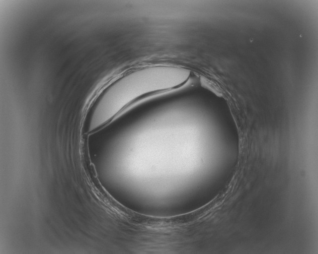 X0000081300293200701181842