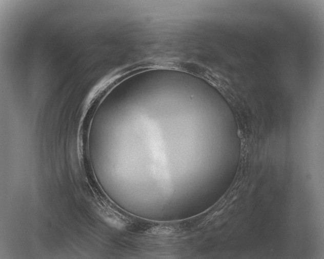 X0000081300294200701181842