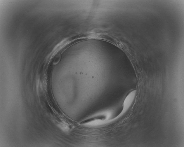 X0000081300295200701181842