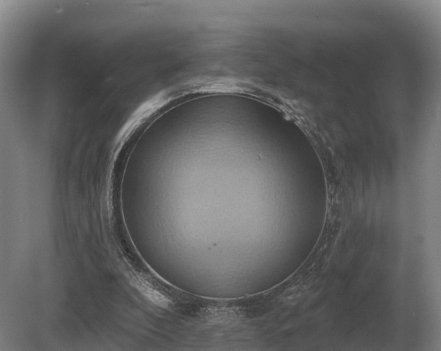 X0000081300296200701181842