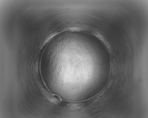 X0000081300297200701181842