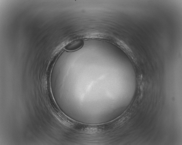 X0000081300298200701181842