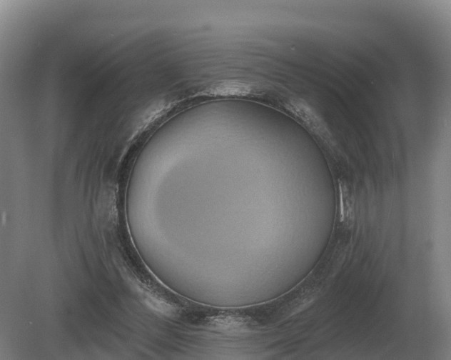 X0000081300300200701181842