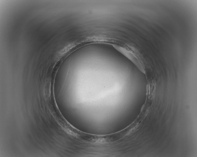 X0000081300301200701181842