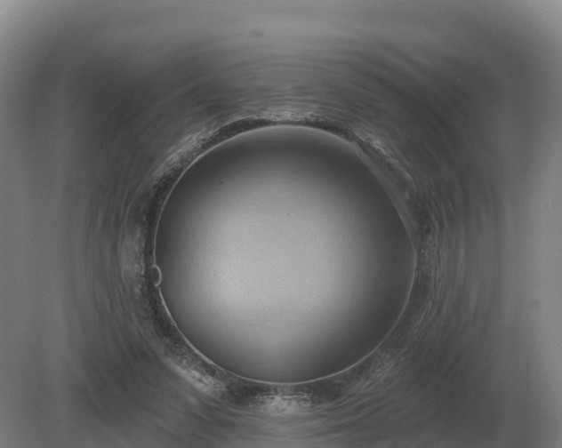 X0000081300303200701181842