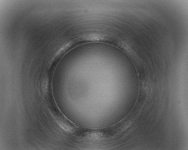 X0000081300304200701181842