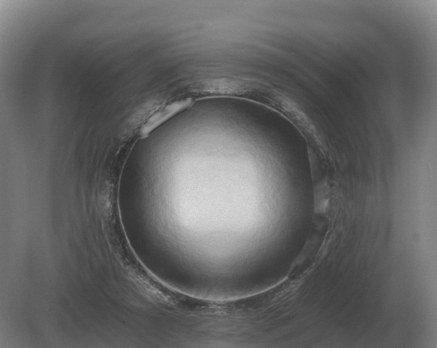 X0000081300305200701181842