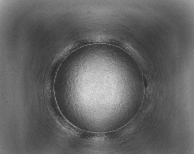 X0000081300306200701181842