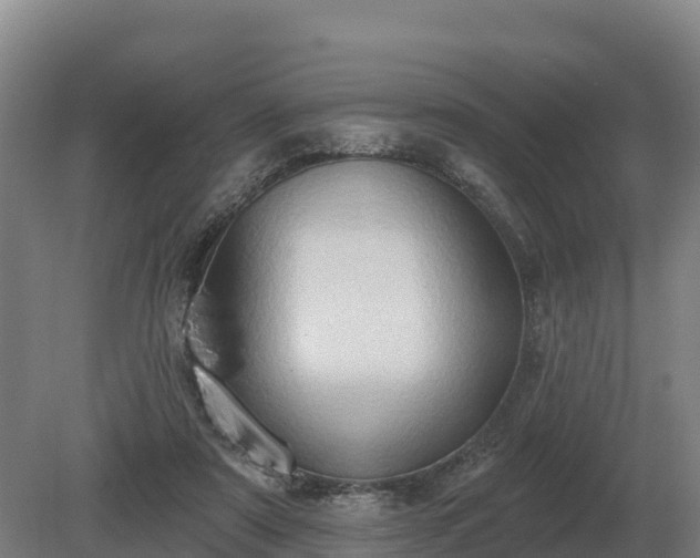 X0000081300307200701181842