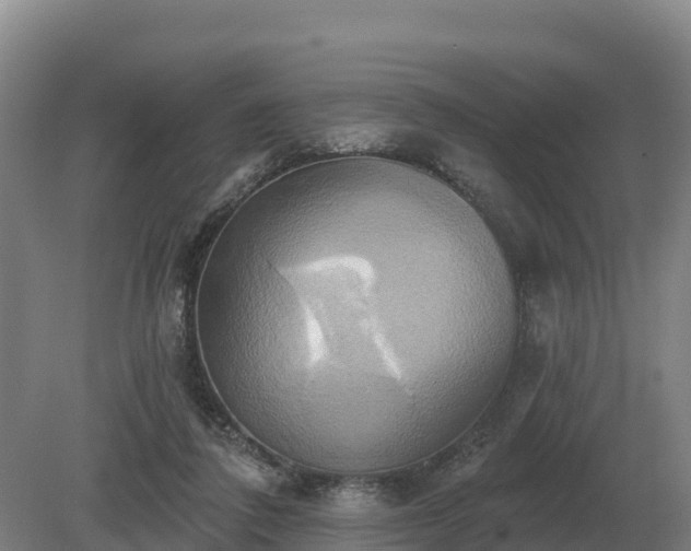 X0000081300308200701181842