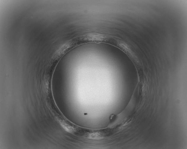 X0000081300309200701181842