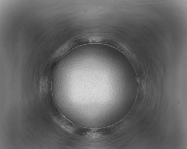 X0000081300311200701181842