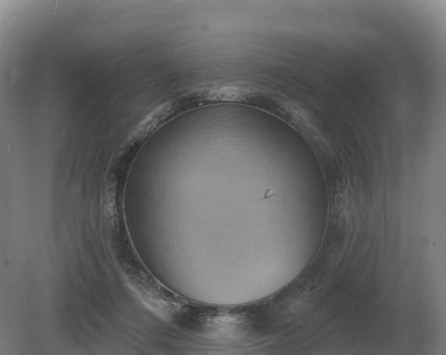 X0000081300312200701181842