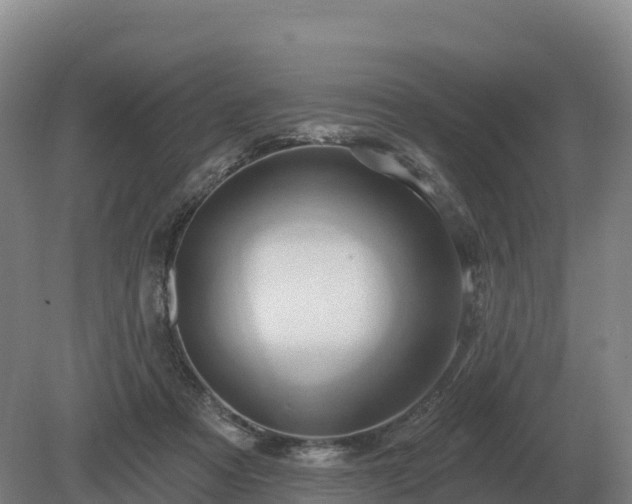 X0000081300313200701181842