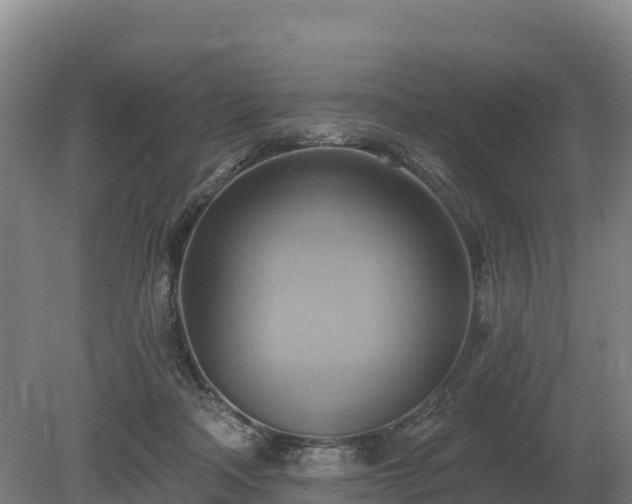 X0000081300314200701181842