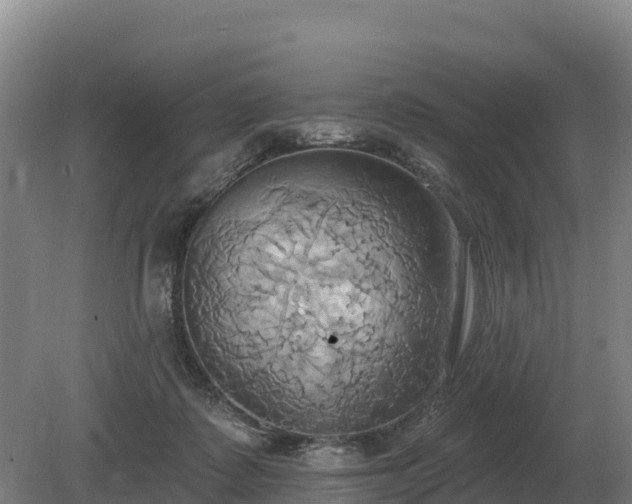 X0000081300315200701181842