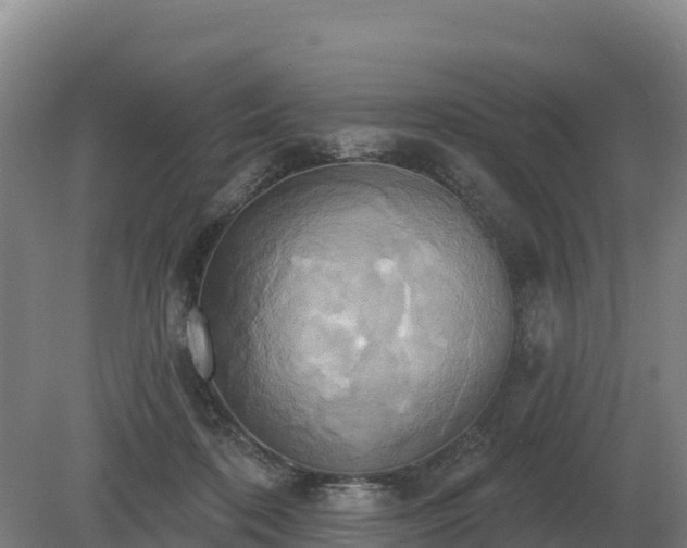 X0000081300316200701181842