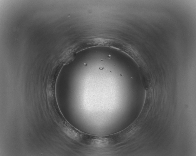 X0000081300317200701181842