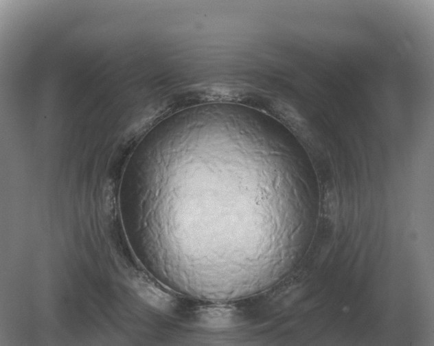 X0000081300318200701181842