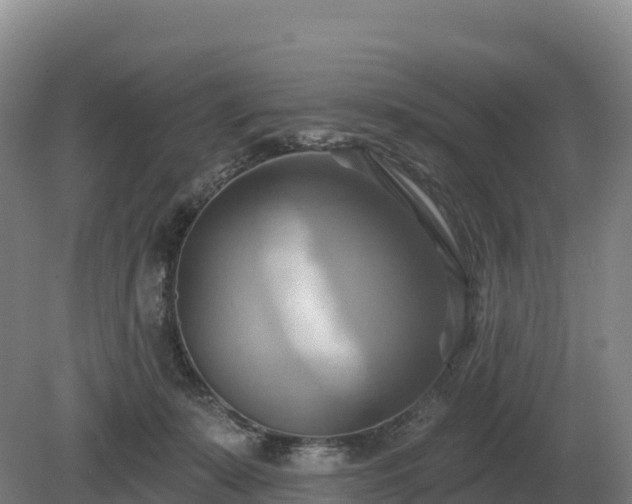 X0000081300319200701181842