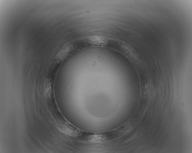 X0000081300320200701181842