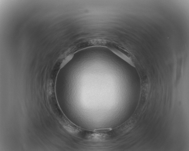 X0000081300323200701181842