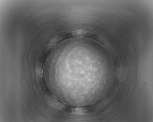 X0000081300324200701181842