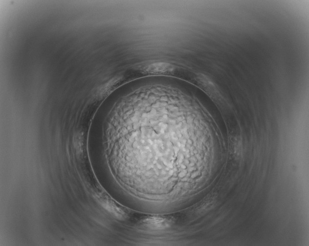 X0000081300326200701181842