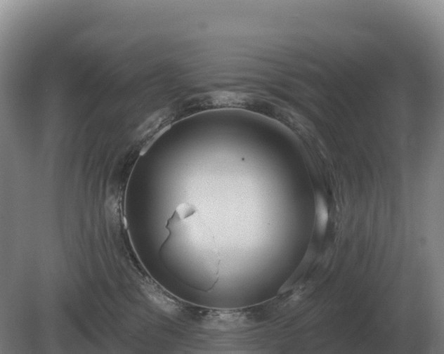 X0000081300329200701181842