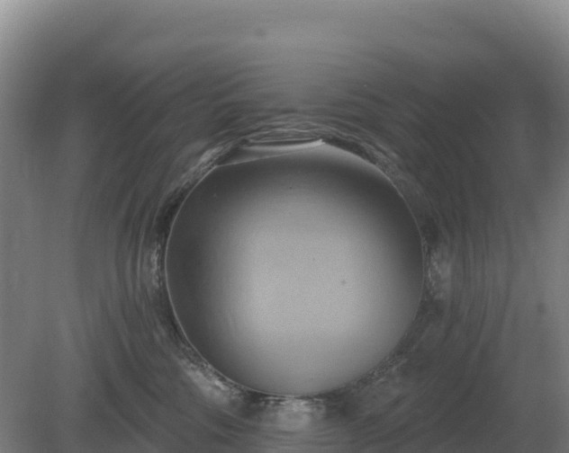 X0000081300330200701181842